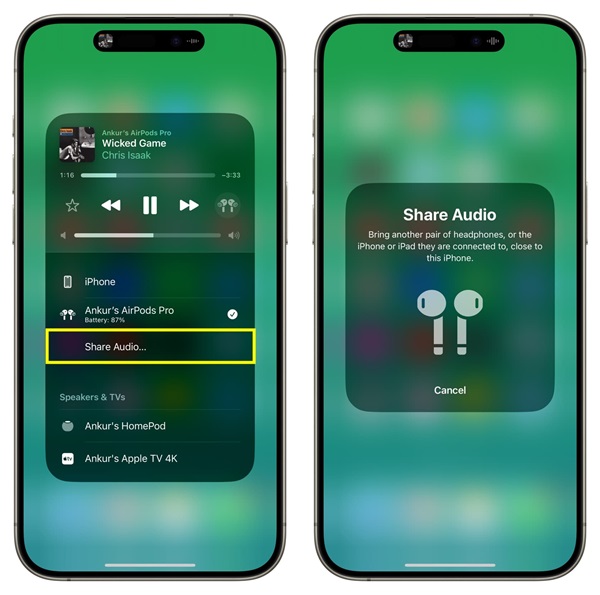 انتخاب Share Audio